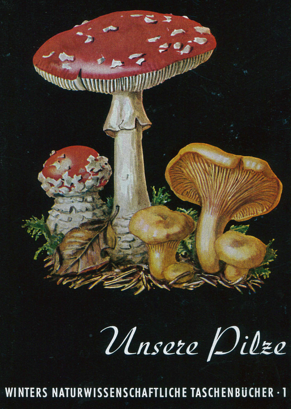 Umschlagbild des Buches: Werner Rauh - Unsere Pilze 
