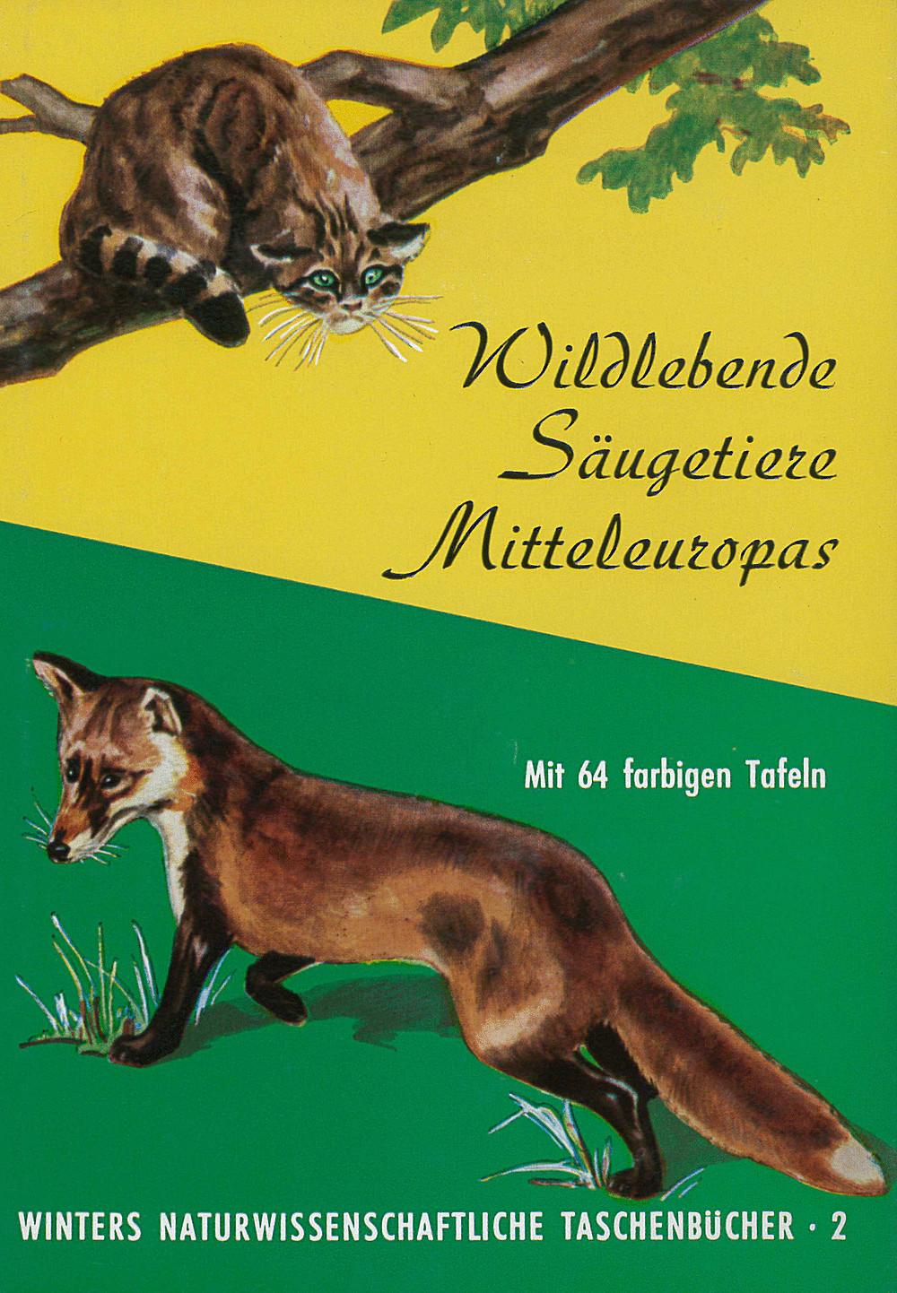 Image de couverture de: G. Koller - Wildlebende Säugetiere Mitteleuropas 