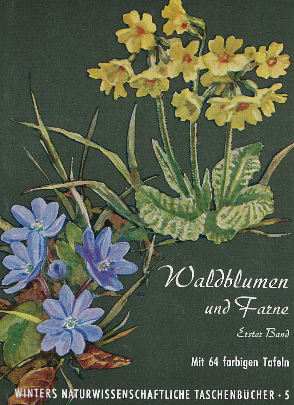 Cover image of: F. K. Hartmann; A. Rühl - Unsere Waldblumen und Farngewächse Band 1