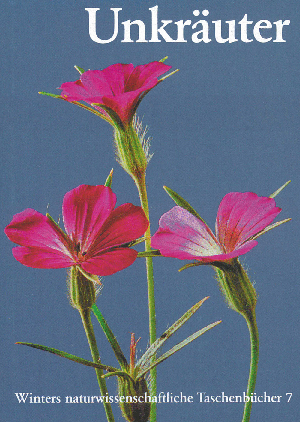 Cover image of: Werner Rauh - Unkräuter 6. unveränderte Auflage