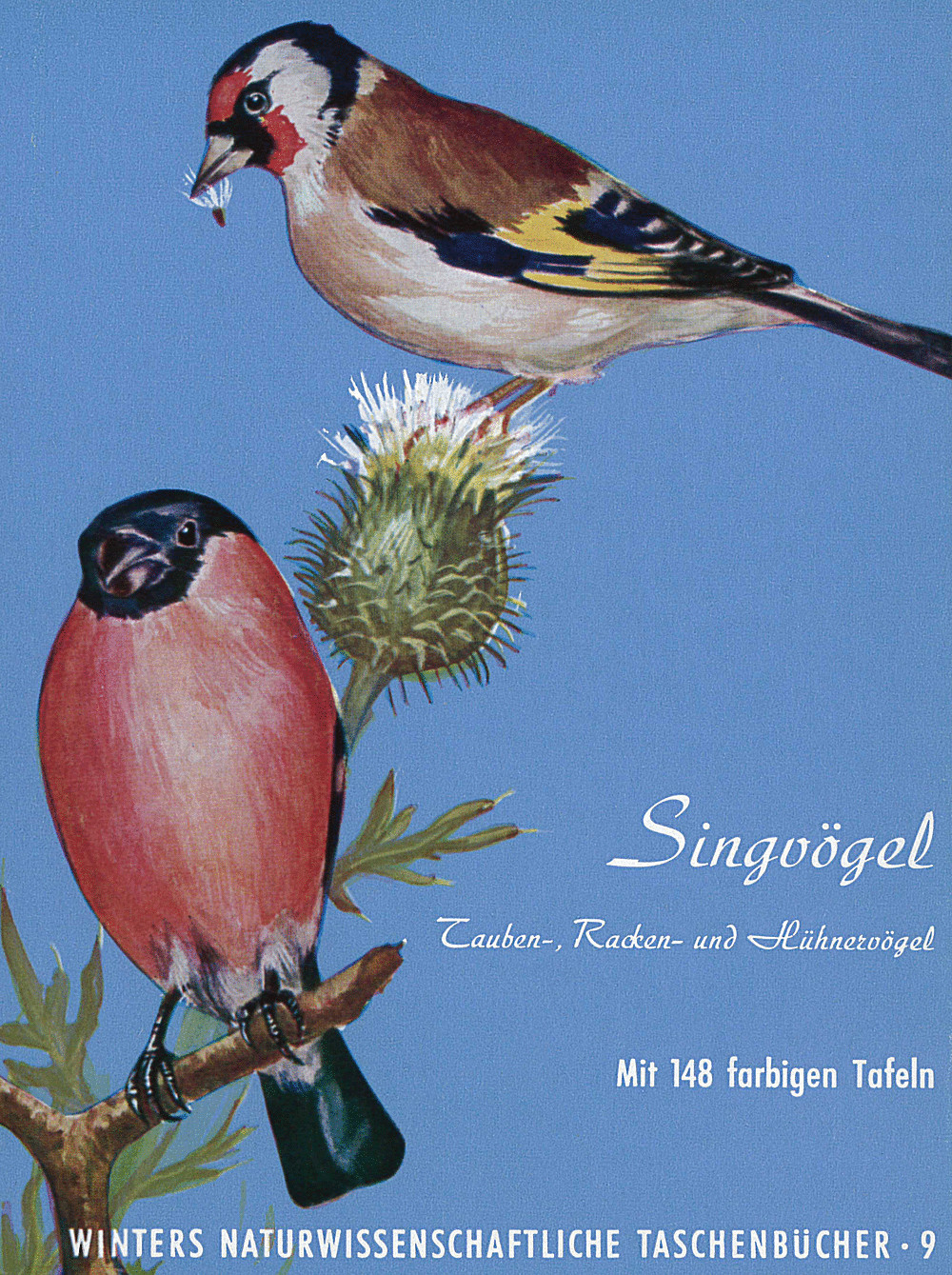 Cover image of: O. Fehringer - Die Vögel Mitteleuropas I: Singvögel 