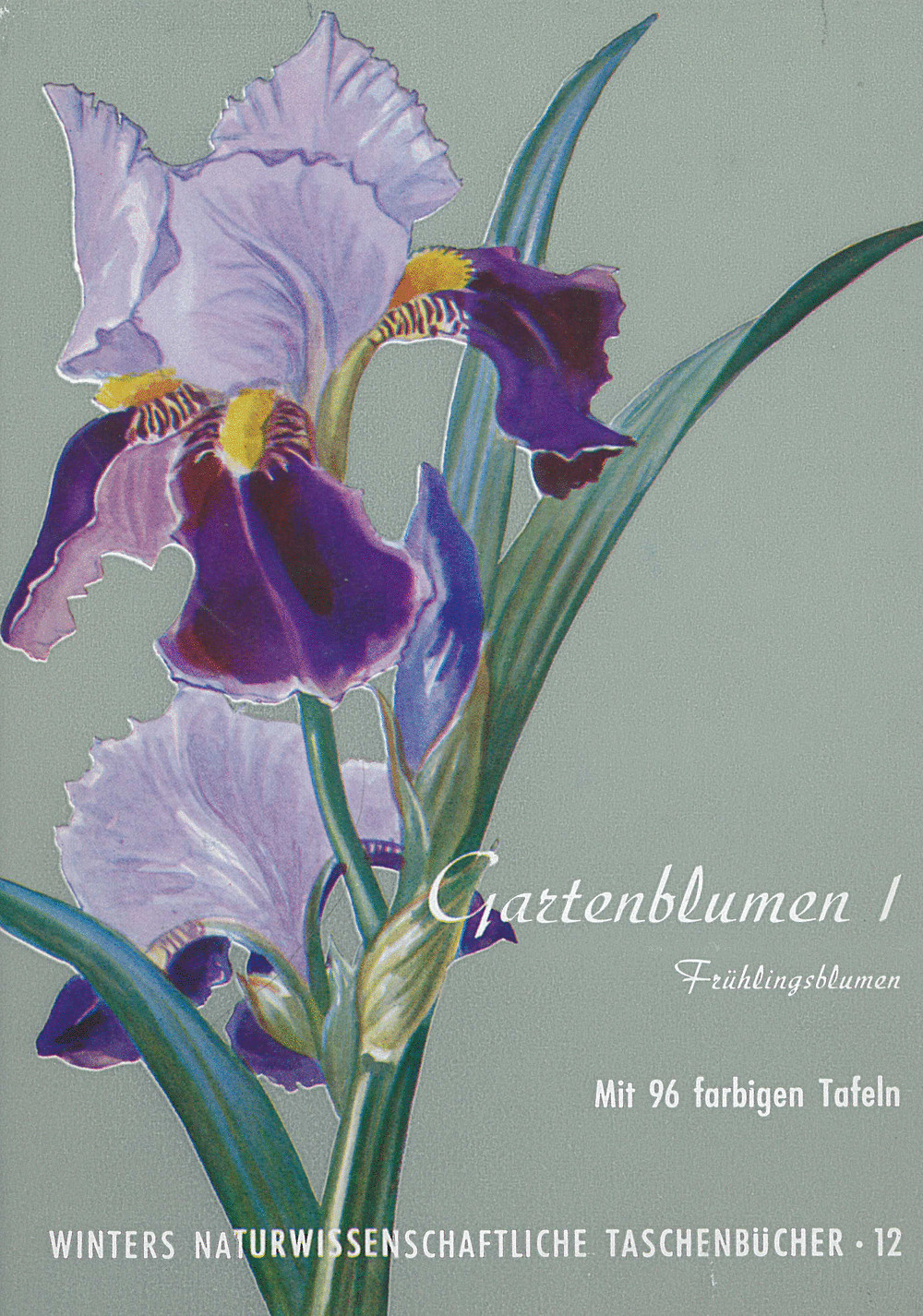 Cover image of: Ludwig Klein - Gartenblumen I Frühlingsblumen