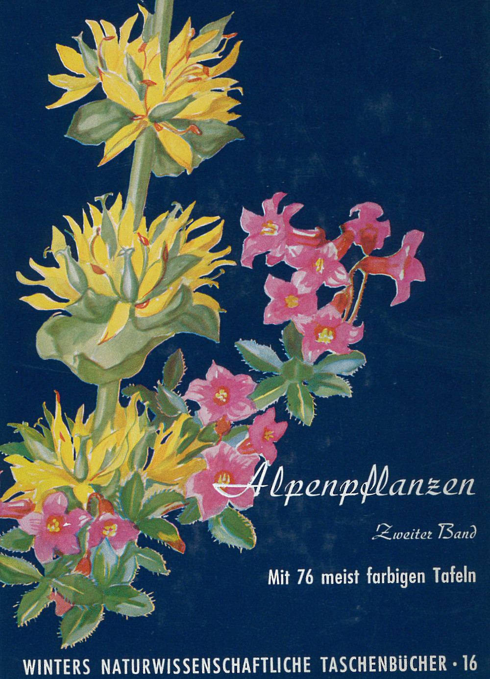 Image de couverture de: Werner Rauh - Alpenpflanzen II. 2., völlig umgearb. Auflage