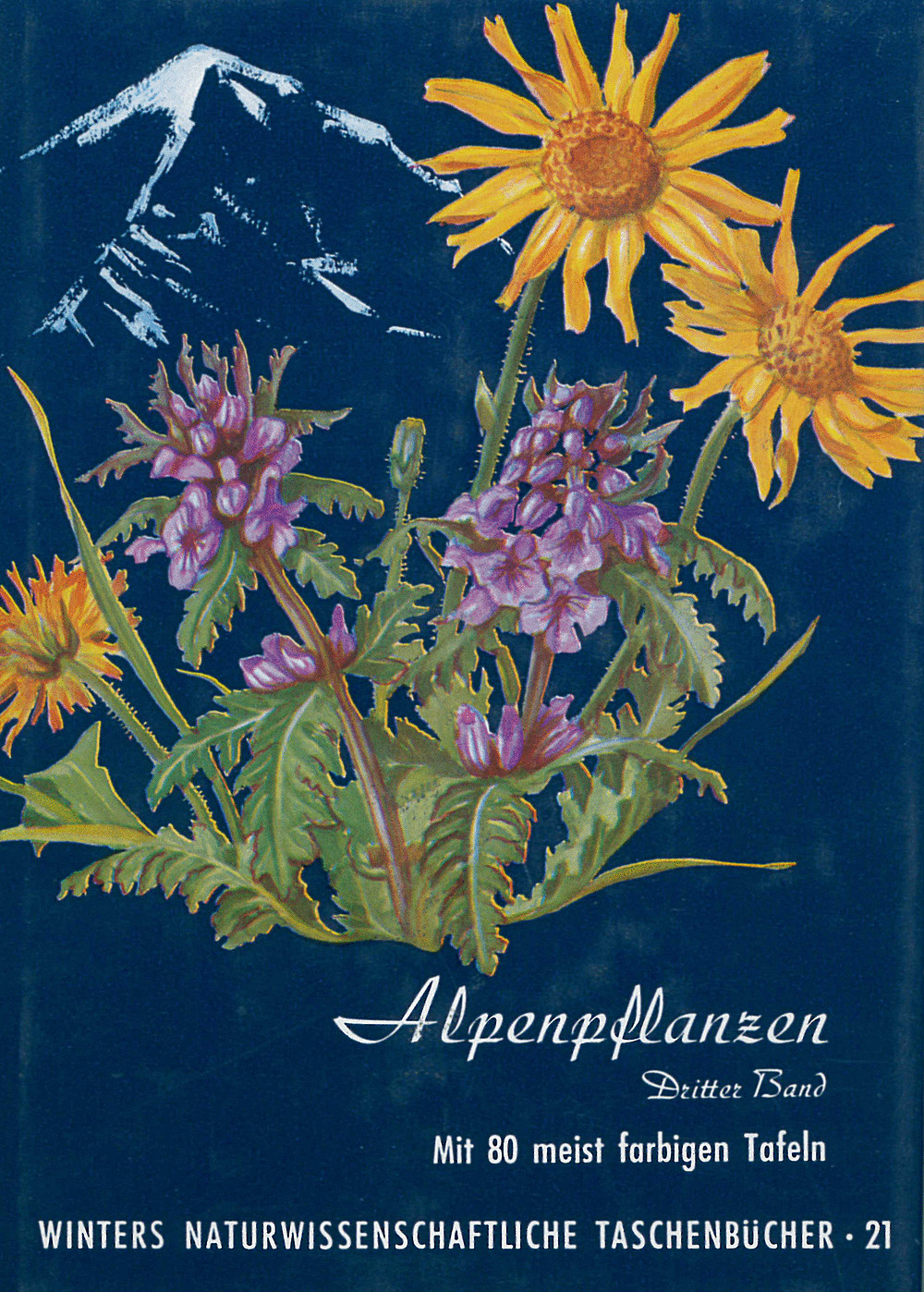 Cover image of: Werner Rauh - Alpenpflanzen III. 2., völlig umgearb. Auflage