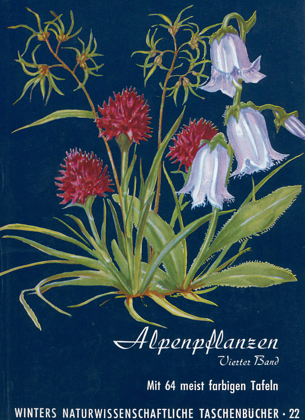 Image de couverture de: Werner Rauh - Alpenpflanzen IV. 2. völlig neu bearb. Aufl.
