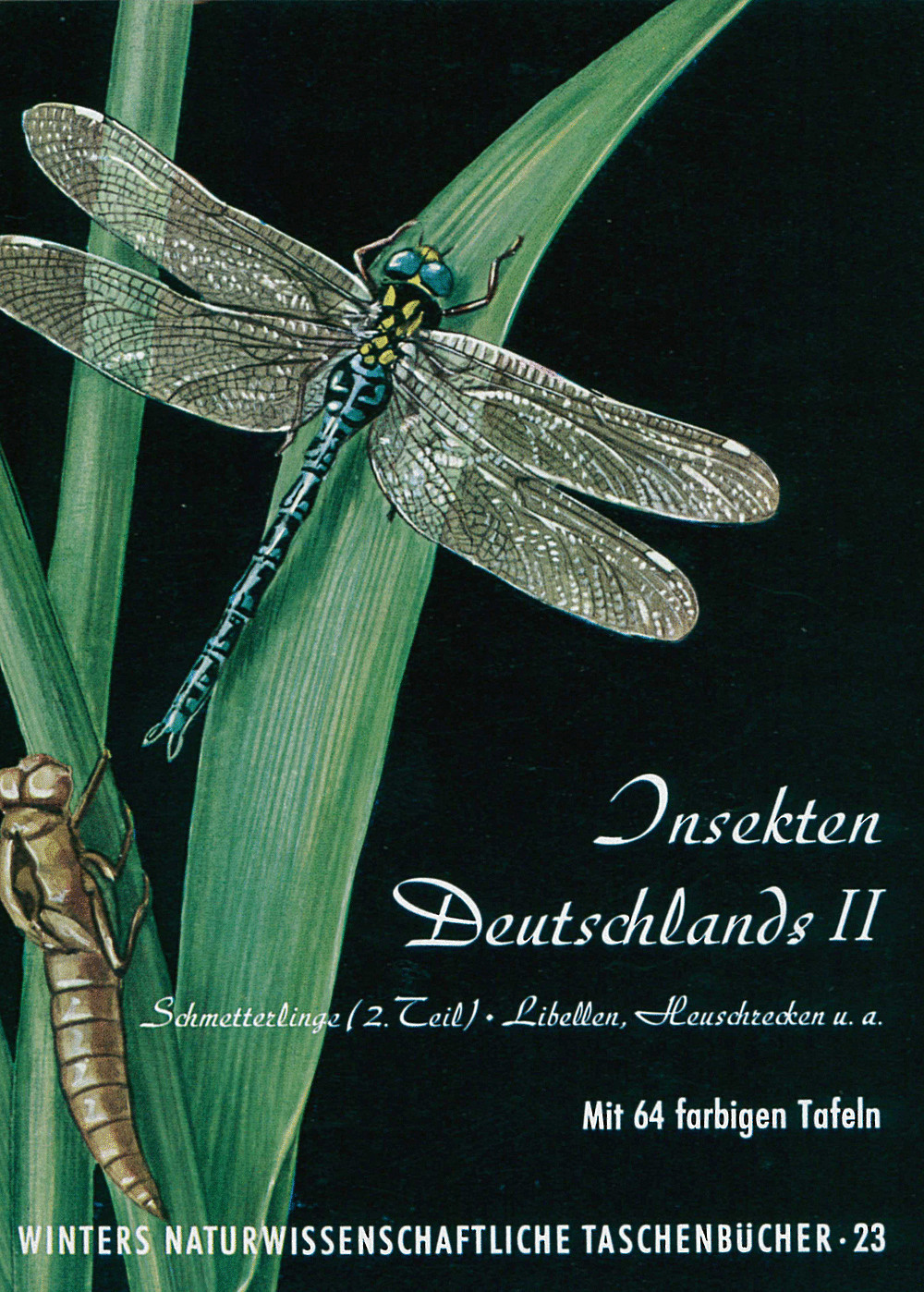 Image de couverture de: Herbert Brandt - Insekten Deutschlands II Schmetterlinge, 2. Teil: Libellen, Heuschrecken und weitere
 Insektenordnungen