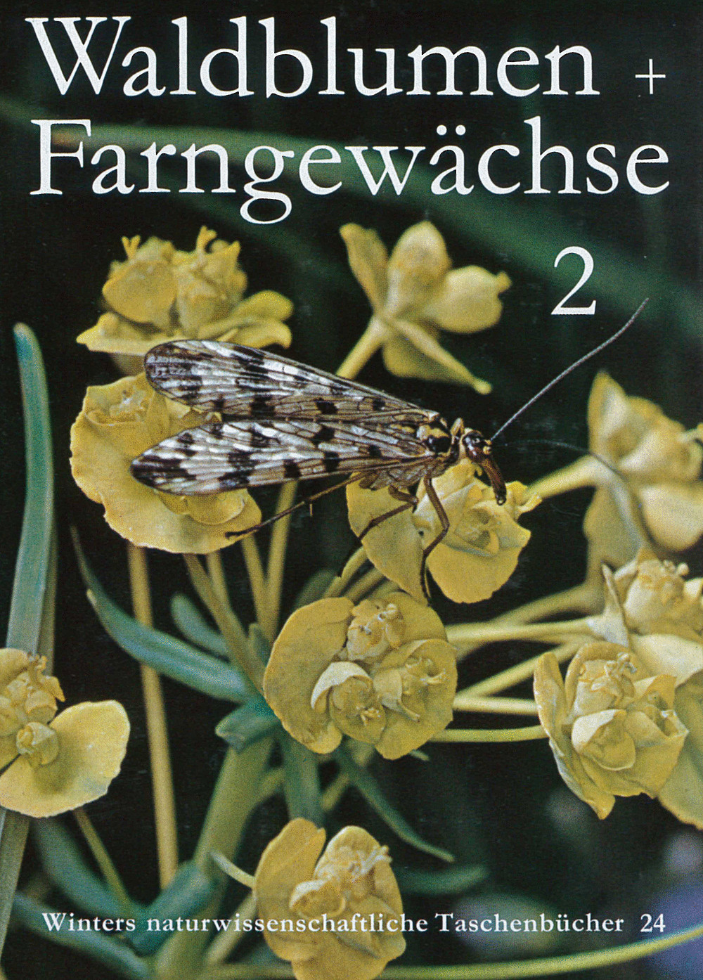 Cover image of: F. K. Hartmann; A. Rühl - Unsere Waldblumen und Farngewächse. Band 2. 5. neubearb. Aufl. von A. Rühl, Farbfotos von K. Paysan