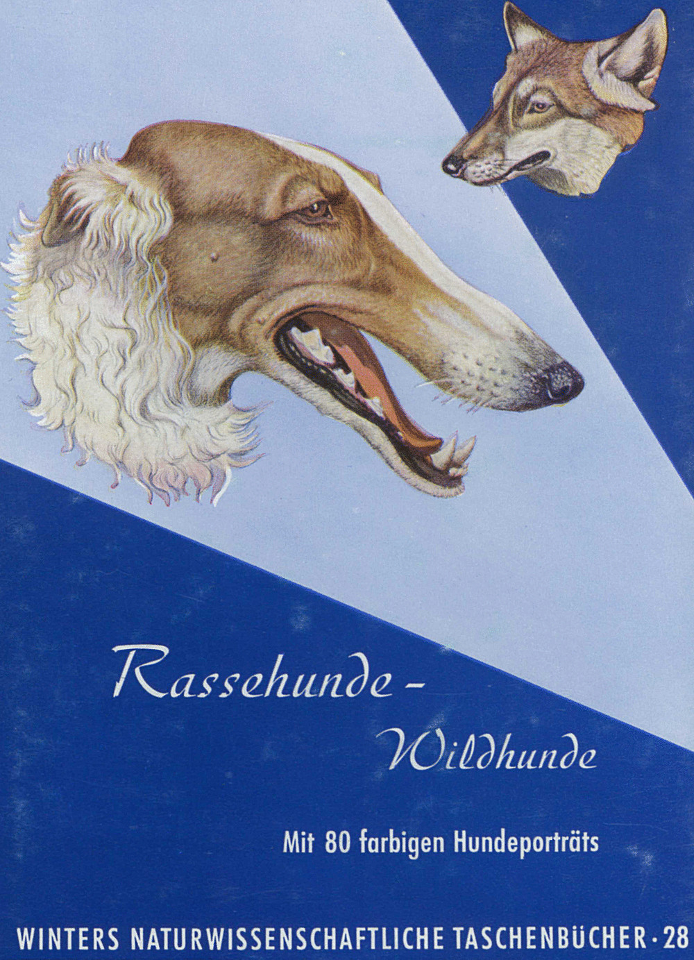 Umschlagbild des Buches: Theodor Haltenorth - Rassehunde - Wildhunde Herkunft, Arten, Rassen, Haltung