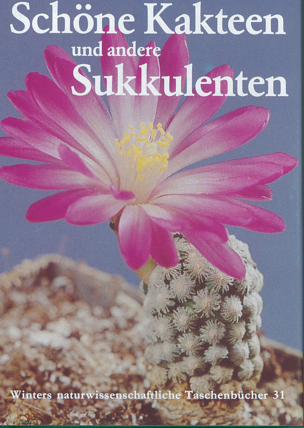 Cover image of: Werner Rauh - Schöne Kakteen und andere Sukkulenten 2., völlig überarb. Aufl.