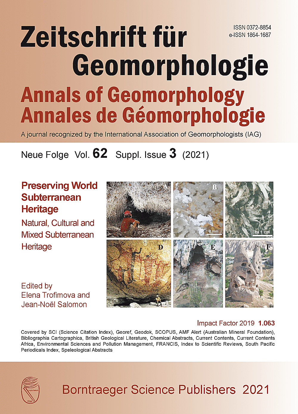 Cover image of: Preserving World Subterranean Heritage