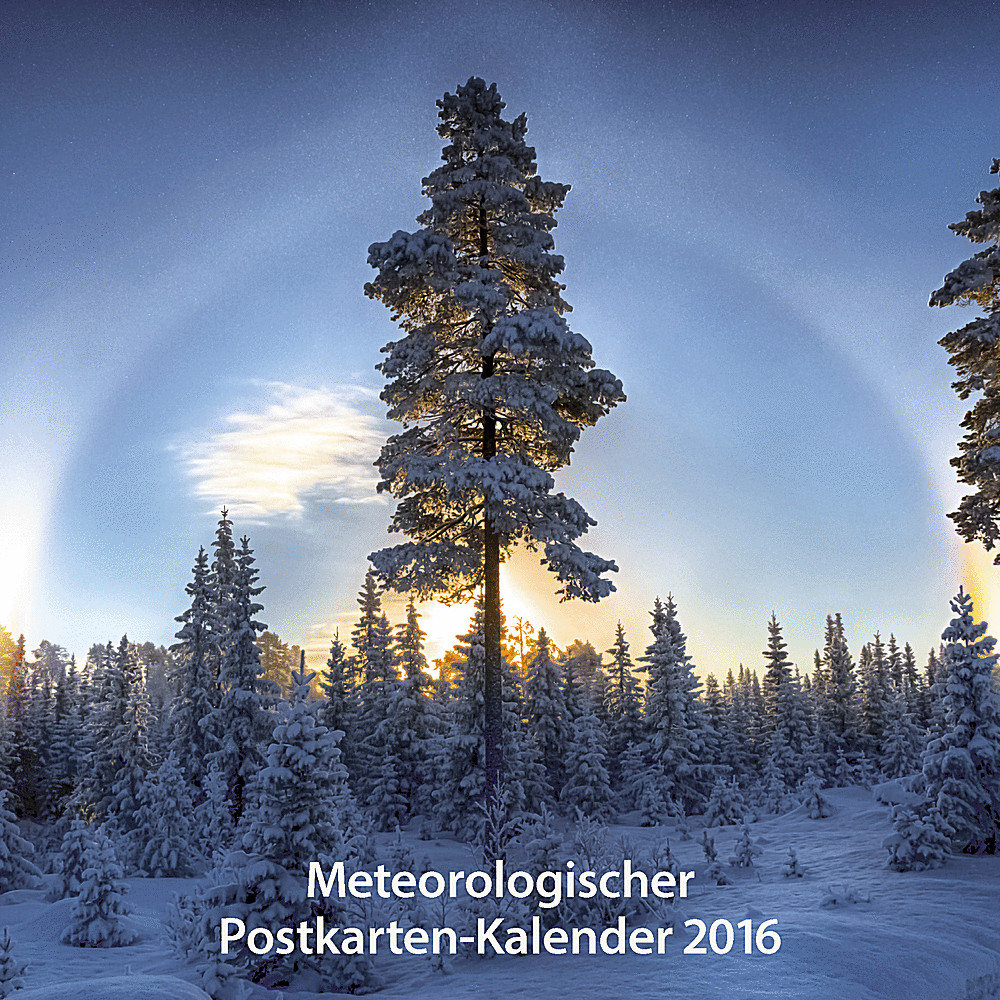 Cover image of: