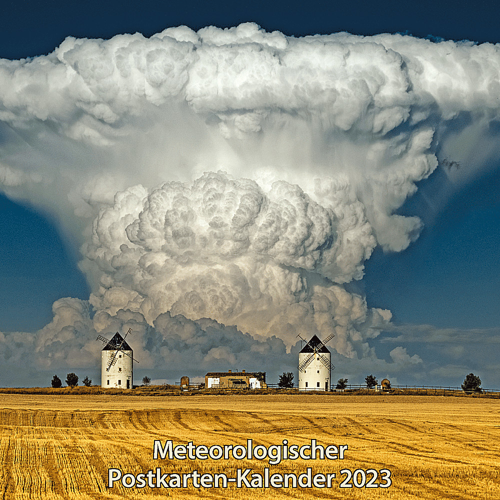 Cover image of: