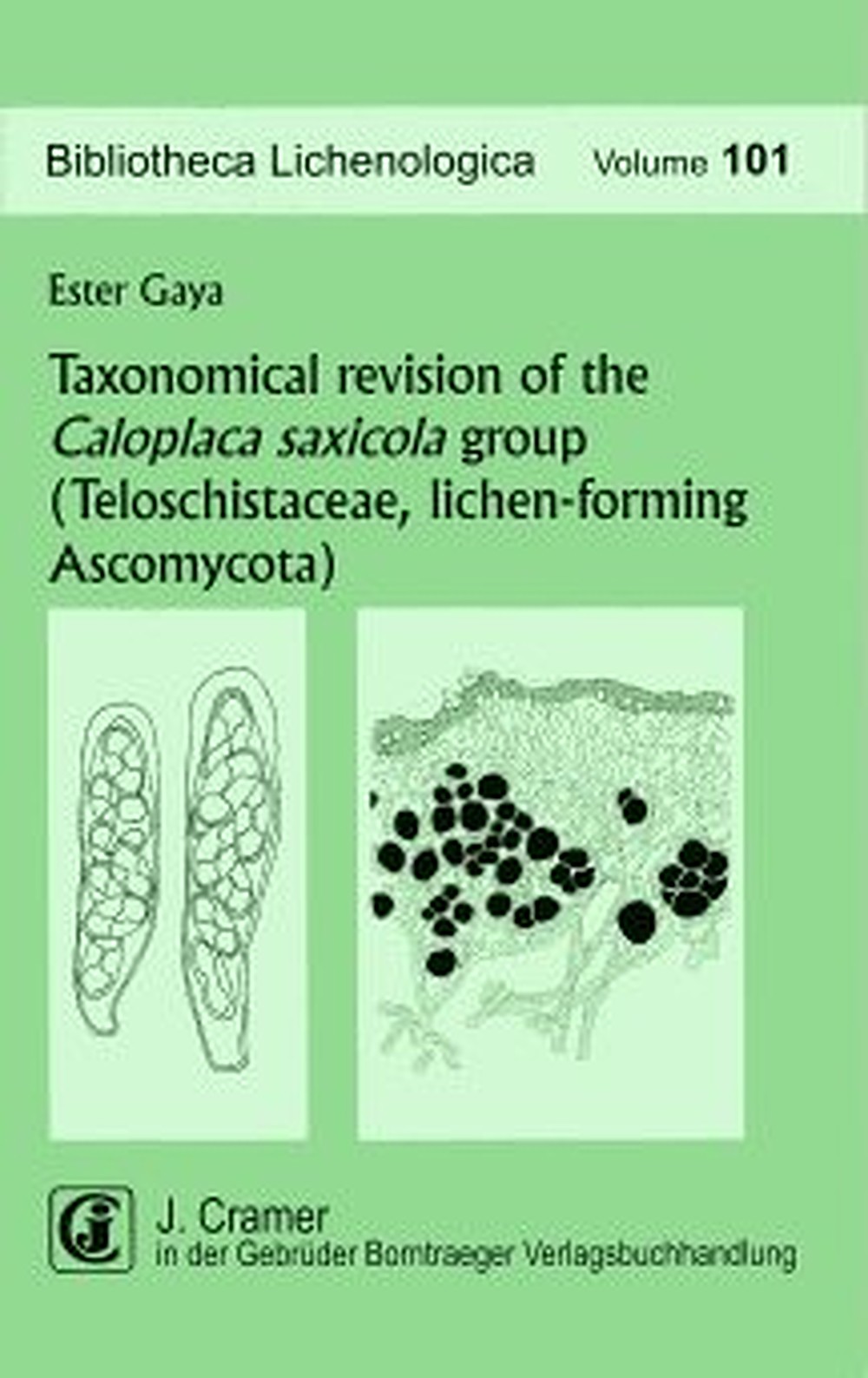 Umschlagbild des Buches: Ester Gaya - Taxonomical revision of the Caloplaca saxicola group  (Teloschistaceae, lichen-forming Ascomycota) 
