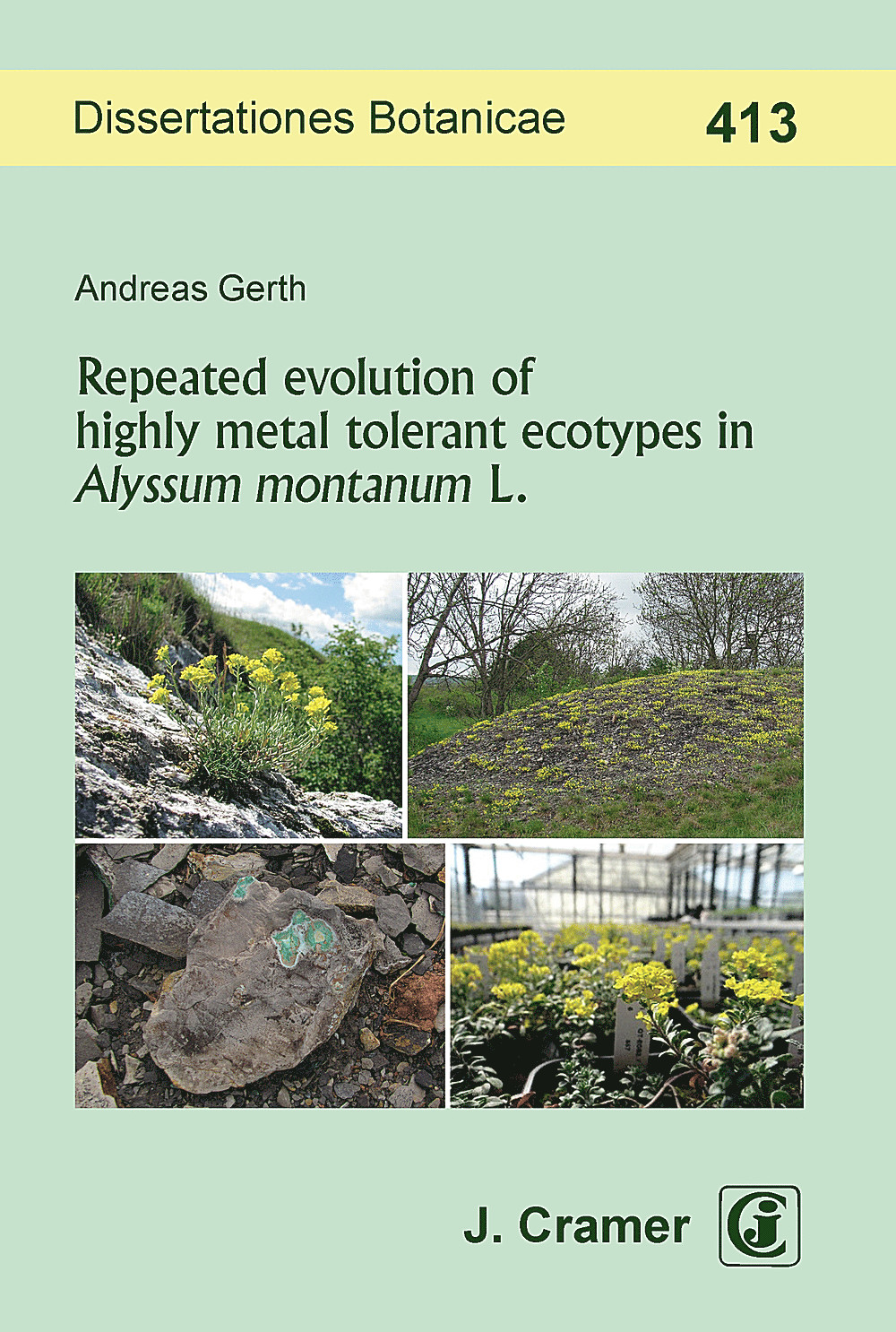 Image de couverture de: Andreas Gerth - Repeated evolution of highly metal tolerant ecotypes in 
<i>Alyssum montanum</i>  L. 