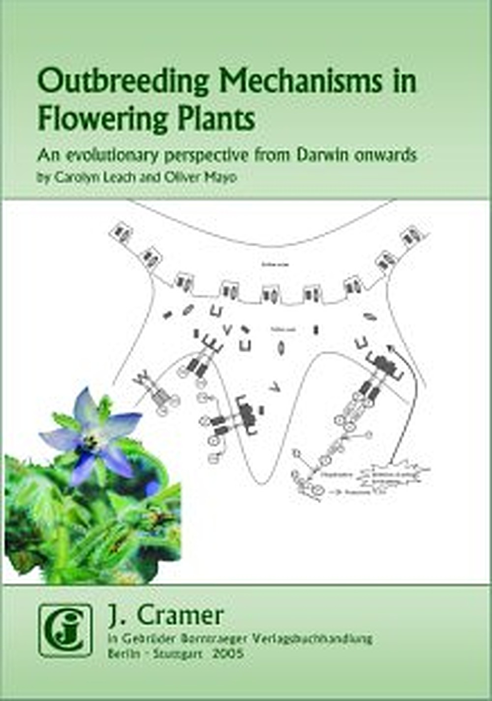 Cover image of: Carolyn Leach; Oliver Mayo - Outbreeding Mechanisms in Flowering Plants An evolutionary perspective from Darwin onwards