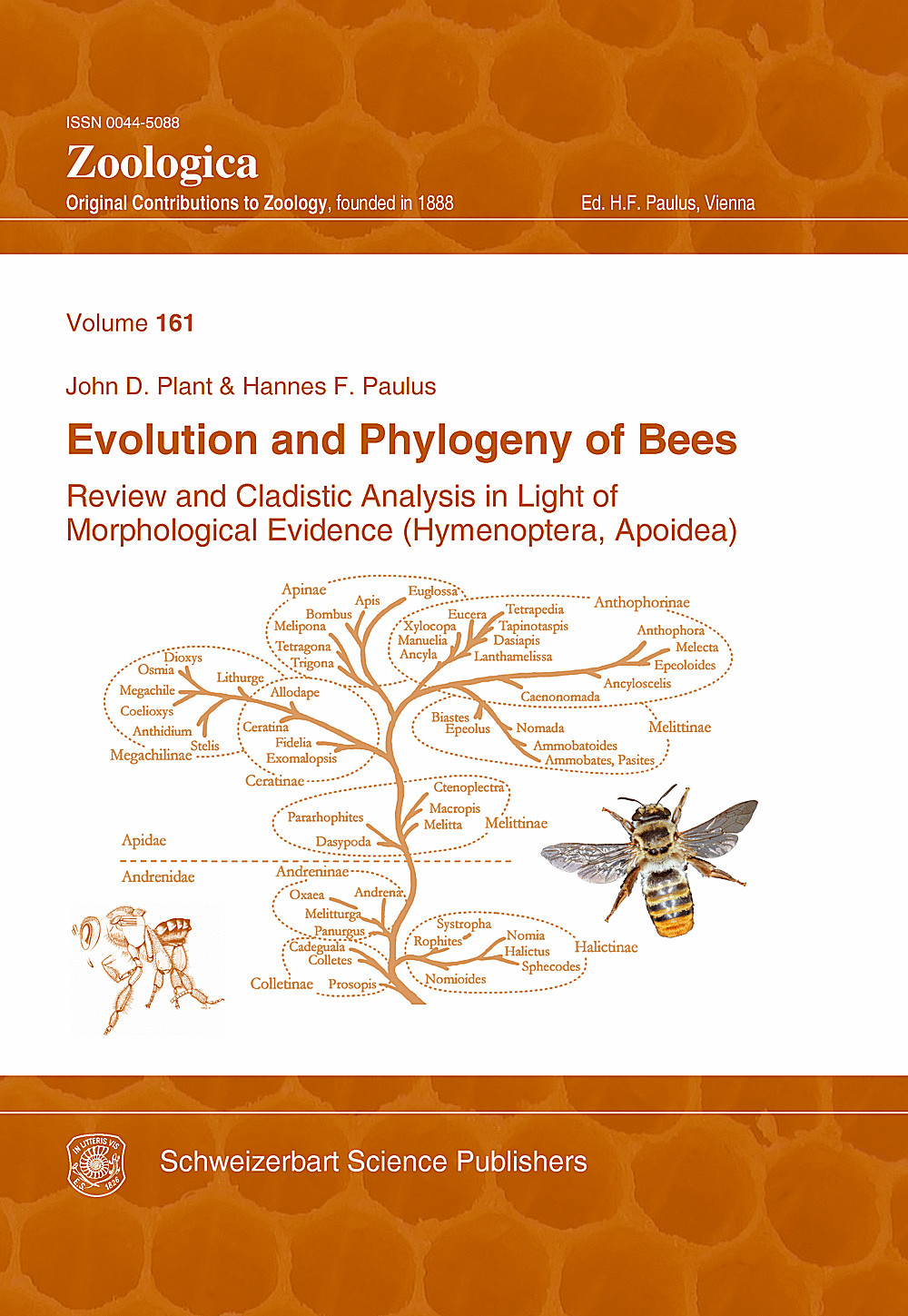 Image de couverture de: John D. Plant; Hannes F. Paulus - Evolution and Phylogeny of Bees Review and Cladistic Analysis in Light of Morphological Evidence ( Hymenoptera, Apoidea)