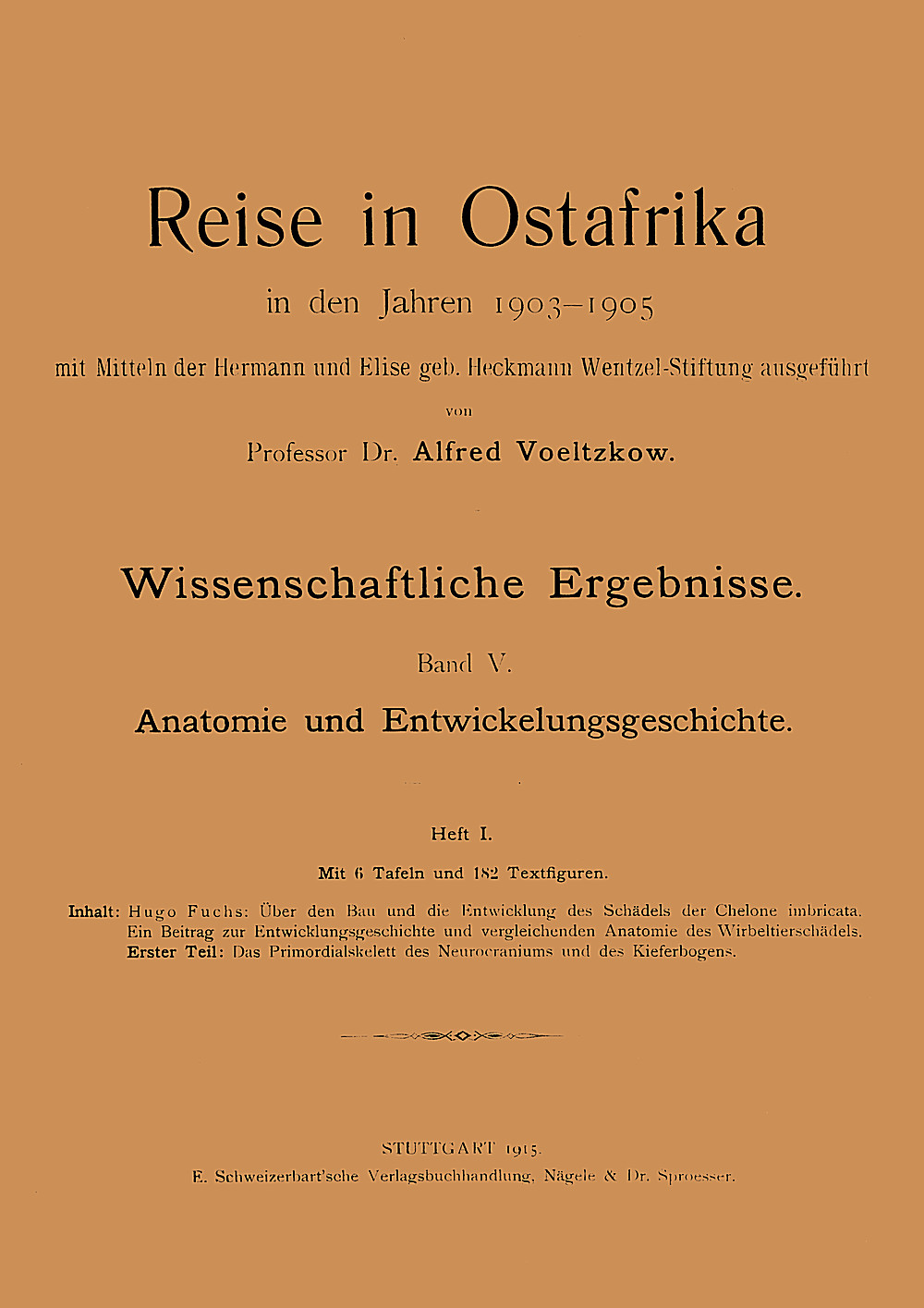 Umschlagbild des Buches:  - Anatomie und Entwickelungsgeschichte 