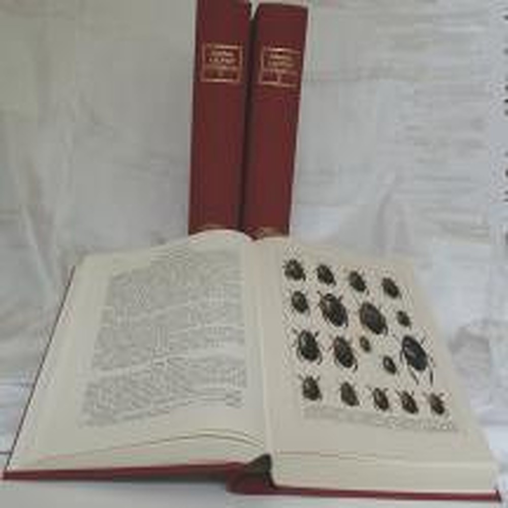Cover image of: C. G. Calwer - Käferbuch Einführung in die Kenntnis der Käfer Europas. 2 Bände. 
Bearbeitet von Camillo Schaufuss