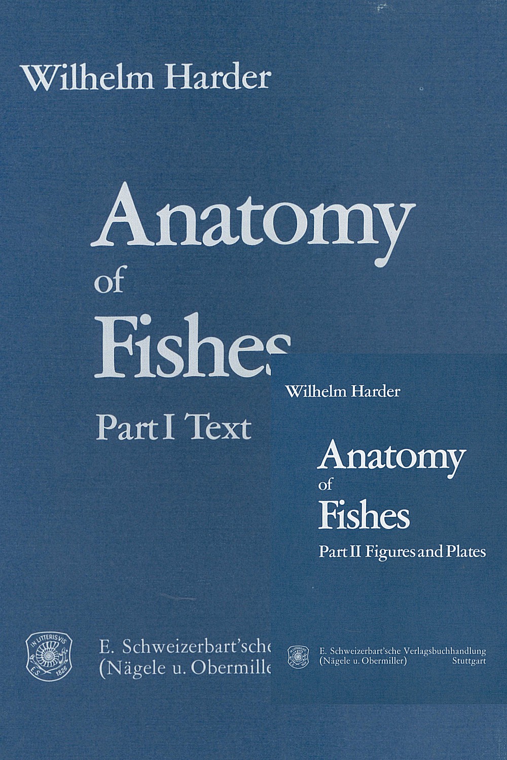 Cover image of: Wilhelm Harder - Anatomy of fishes 2. completely revised and enlarged edition of 
