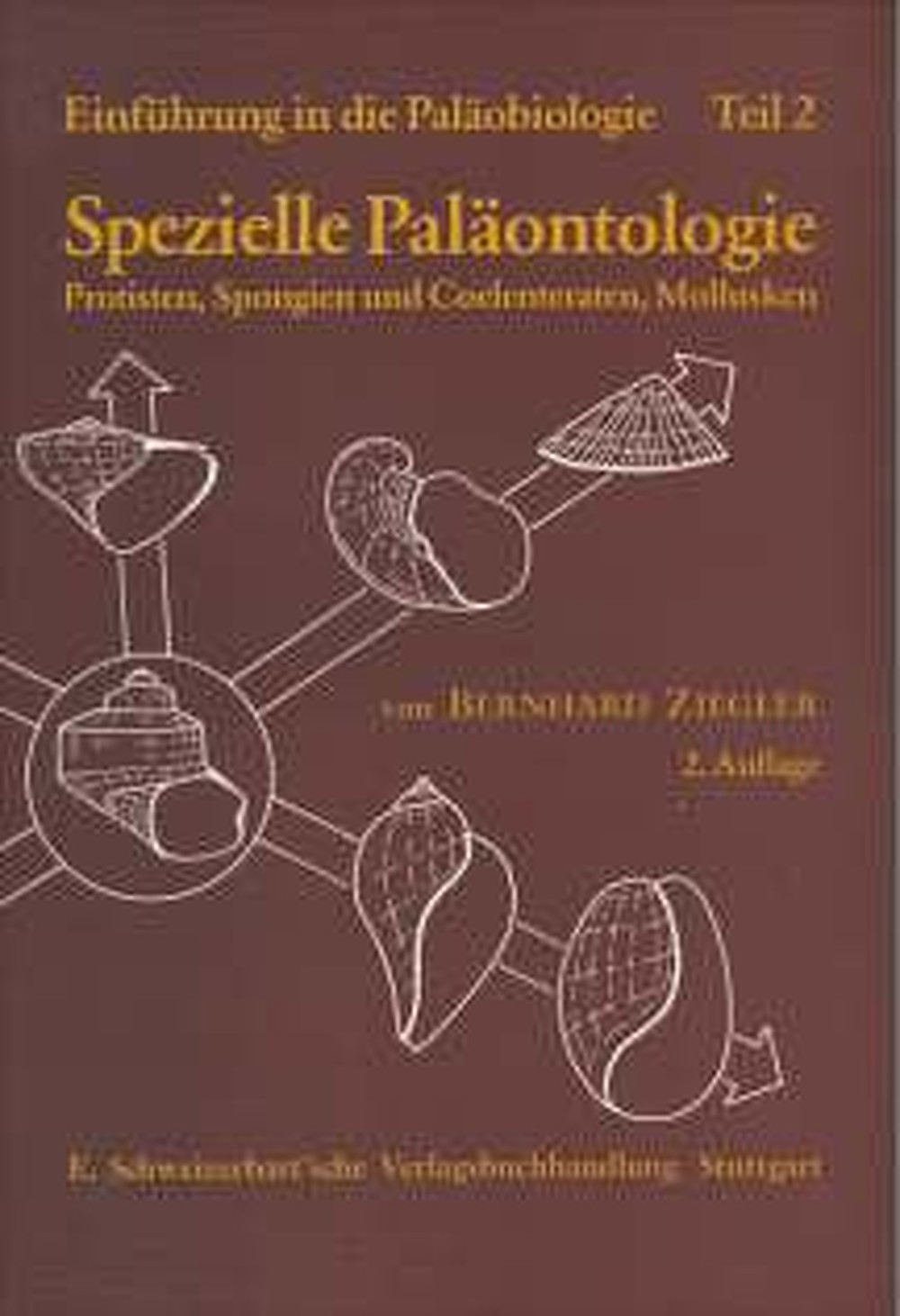 Image de couverture de: Bernhard Ziegler - Spezielle Paläontologie: Protisten, Spongien und 
Coelenteraten, Mollusken  
