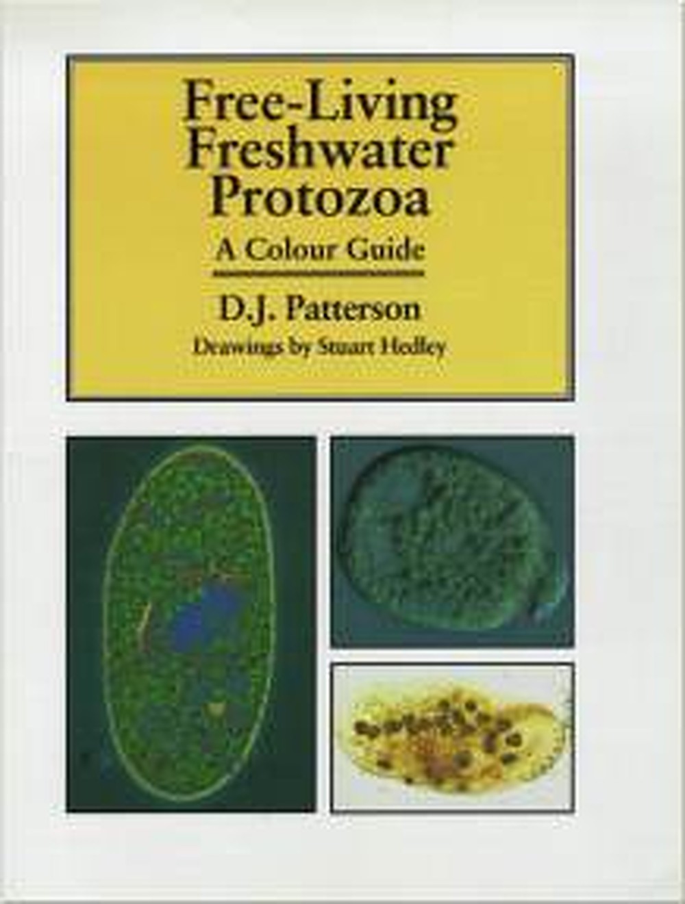 Cover image of: David J. Patterson - Free-Living Freshwater Protozoa A Colour Guide