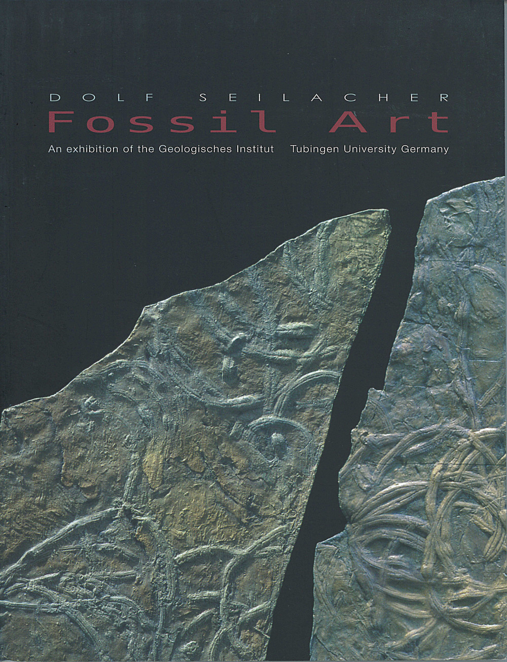 Cover image of: Dolf Seilacher - Fossil Art An exhibition of the Geologisches Institut Tübingen University Germany