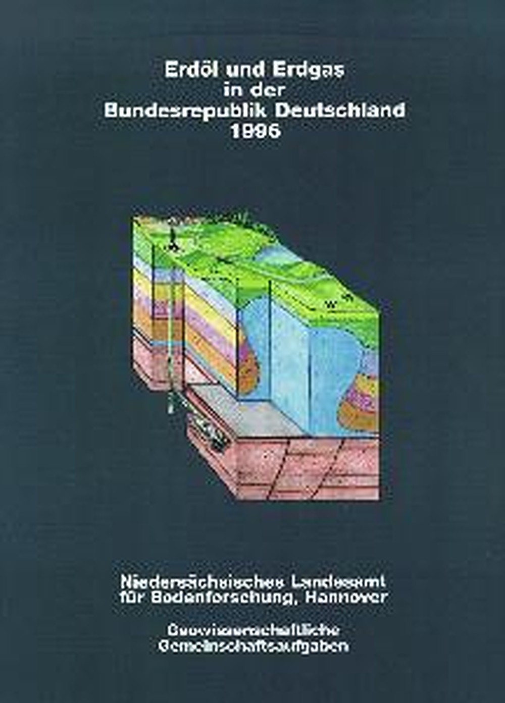 Cover image of:  - Erdöl und Erdgas in der Bundesrepublik Deutschland 1996 