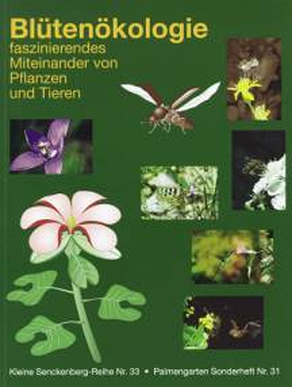 Cover image of:  - Blütenökologie Faszinierendes Miteinander von Pflanzen und Tieren 
(Palmengarten Sonderheft 31)