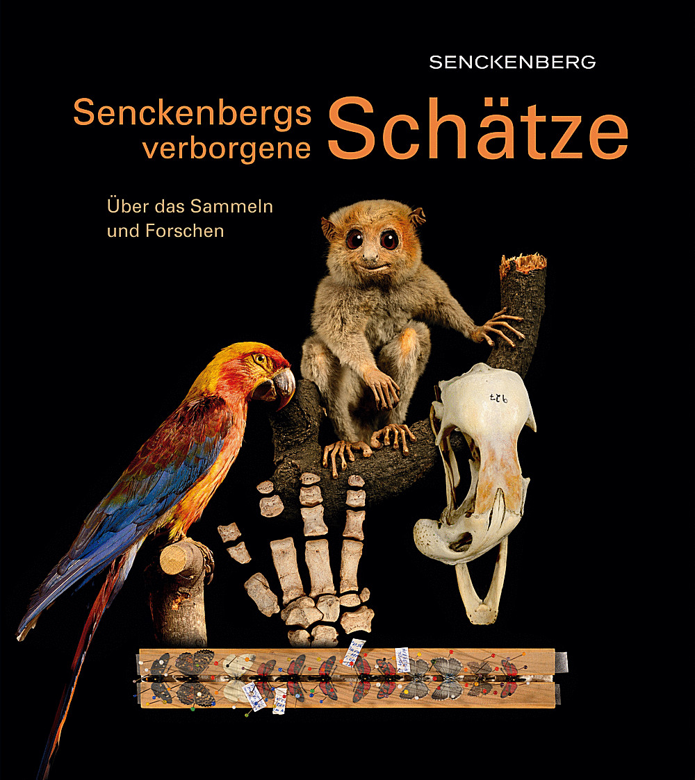 Cover image of: - Senckenbergs verborgene Schätze Über das Sammeln und Forschen