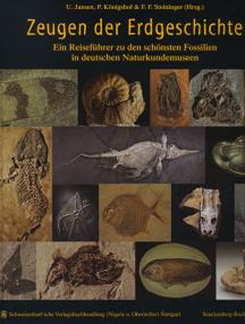 Cover image of:  - Zeugen der Erdgeschichte Ein Reiseführer zu den schönsten Fossilien in deutschen 
Naturkundemuseen