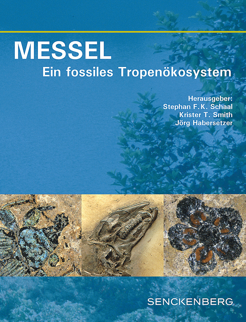 Cover image of:  - MESSEL - Ein fossiles Tropenökosystem 