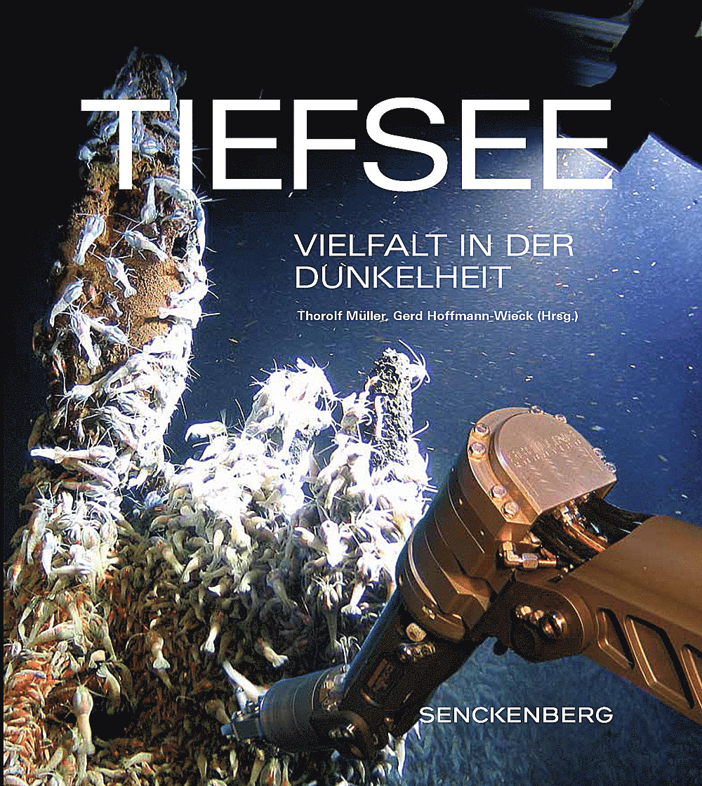 Cover image of:  - Tiefsee Vielfalt in der Dunkelheit