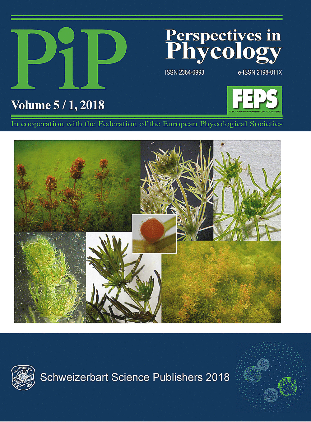 Cover image of: Perspectives in Phycology Vol. 5 No. 1