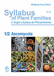 Cover image of: 