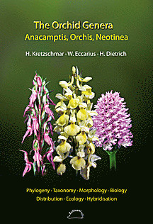 Cover image of: