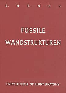 Cover image of: Fossil plant wall structures. Studies of
tracheid walls of paleozoic age vascular plants
