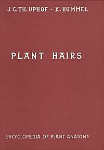 Cover image of: 