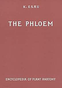 Cover image of: 