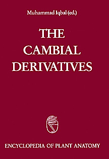 Cover image of: 