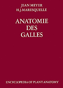 Cover image of: 
