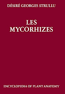 Cover image of: 