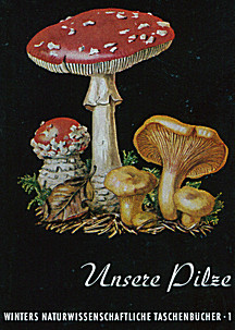 Cover image of: Our Fungi