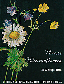 Cover image of: 