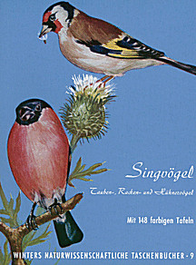 Cover image of: 