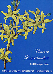 Cover image of: 