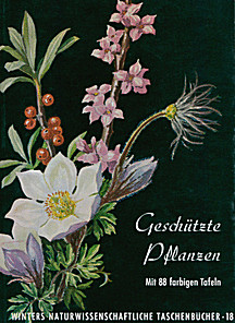 Cover image of: 