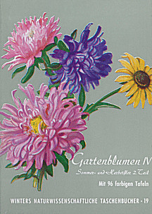 Cover image of: 