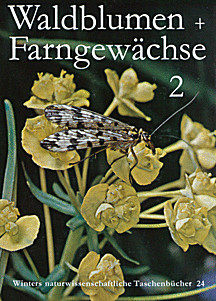 Cover image of: 