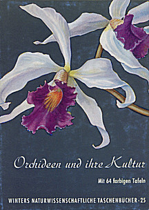 Cover image of: 