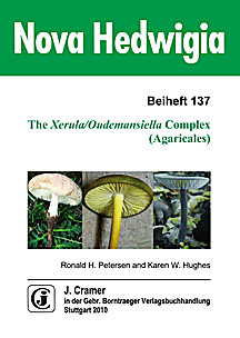 Cover image of: 